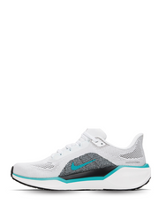 Nikee Zoom Pegasus 41 White Blue