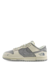 Nikee SB Dunk Low X North Face 2025