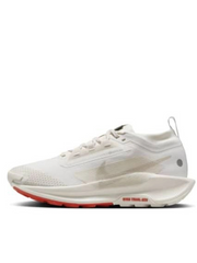 Nikee Pegasus Trail 5 GORE TEX