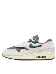 Nikee Airmax 1 protection pack
