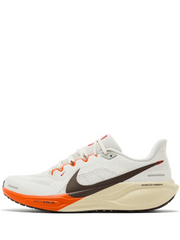 Nikee Zoom Pegasus 41 "Just Do It"