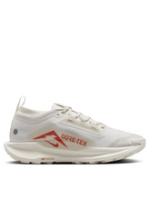 Nikee Pegasus Trail 5 GORE TEX