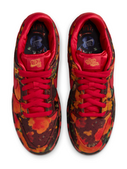 Nikee SB Dunk Low X "The Wizard Of OZ Poppy Filed"