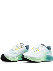 Nike zoom pegasus 37