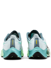 Nike zoom pegasus 37