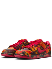 Nikee SB Dunk Low X "The Wizard Of OZ Poppy Filed"