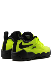 Supreme x Nikee SB Air Darwin Low Volt