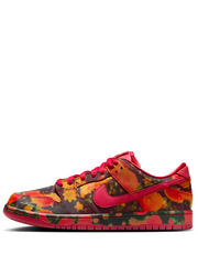 Nikee SB Dunk Low X "The Wizard Of OZ Poppy Filed"