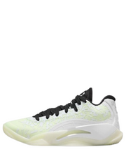 Nikee Air Jordan Zion 3 No Guts