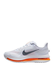 Nikee Air Zoom Pegasus Premium Airscape