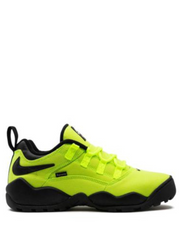 Supreme x Nikee SB Air Darwin Low Volt