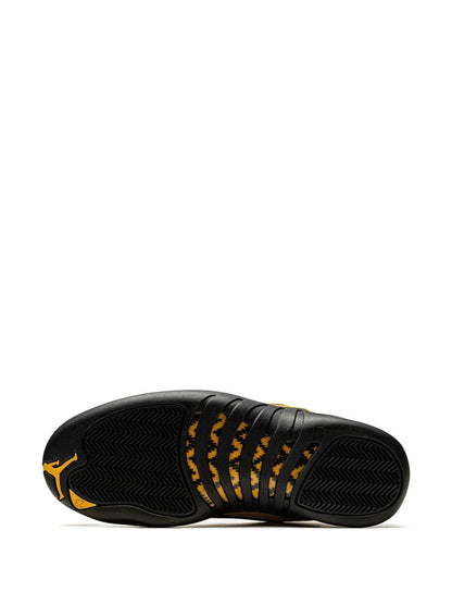 Nike Air Jordan Retro 12 Black Taxi Master