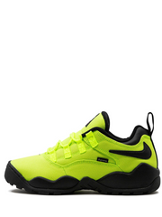 Supreme x Nikee SB Air Darwin Low Volt