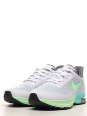 Nike Air zoom winflo 1 running
