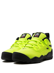 Supreme x Nikee SB Air Darwin Low Volt