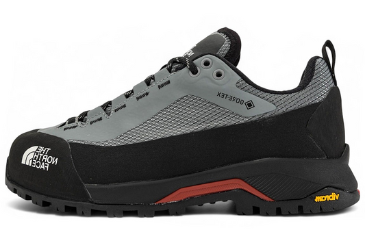 Thee North Face Verto Alpine Gore Tex Grey