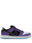 Nikee sb dunk low pro x hayley wilson