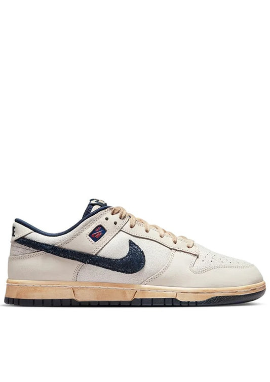 The Stranger Things X Nikkee SB Dunk Low Phantom
