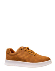 Timberland Tan White Casual Sneaker