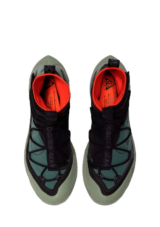 _Nikkee ACG Air Terra Antarktik_