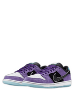 Nikee sb dunk low pro x hayley wilson