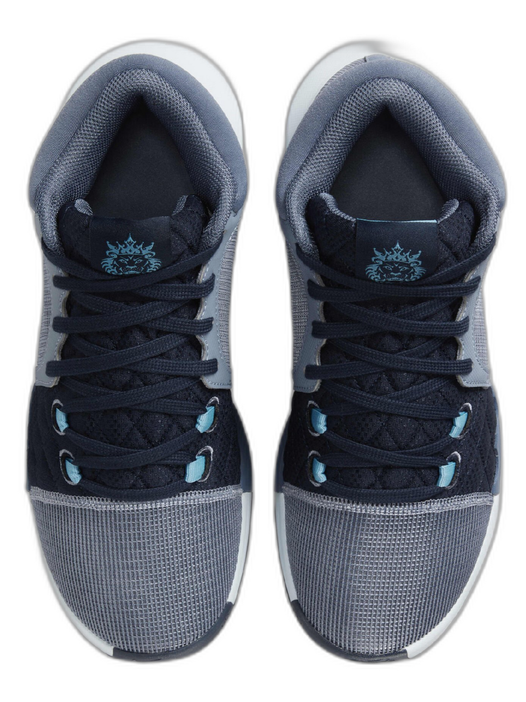 Nikee lebron witness 8 blue