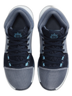 Nikee lebron witness 8 blue