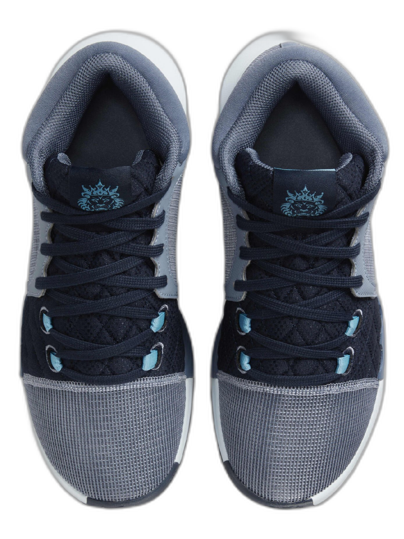 Nikee lebron witness 8 blue