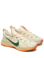 Nikee honors famu lebron tr1