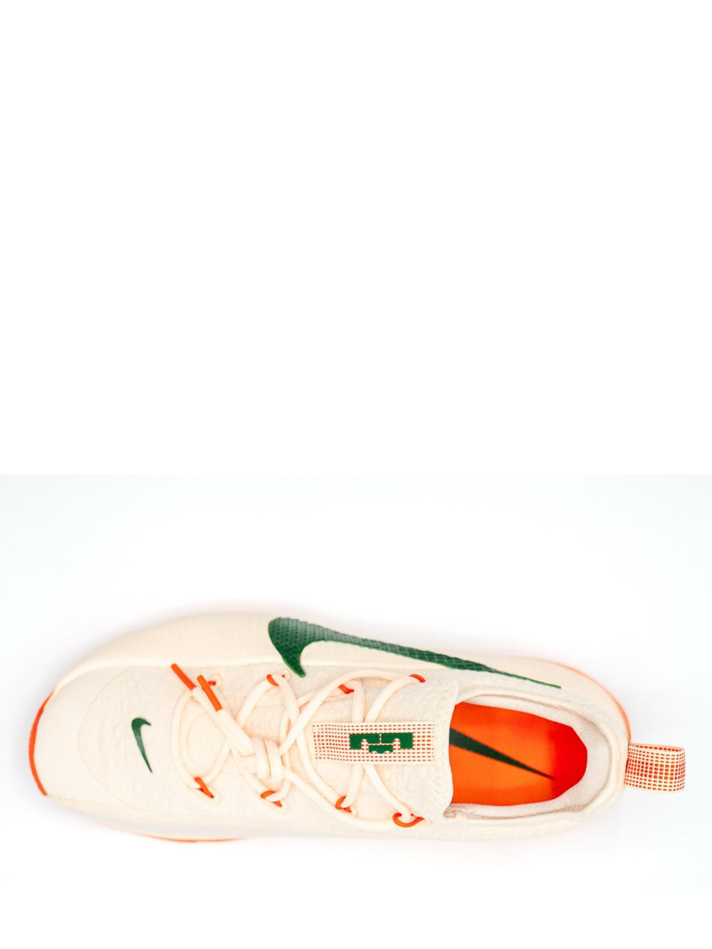 Nikee honors famu lebron tr1