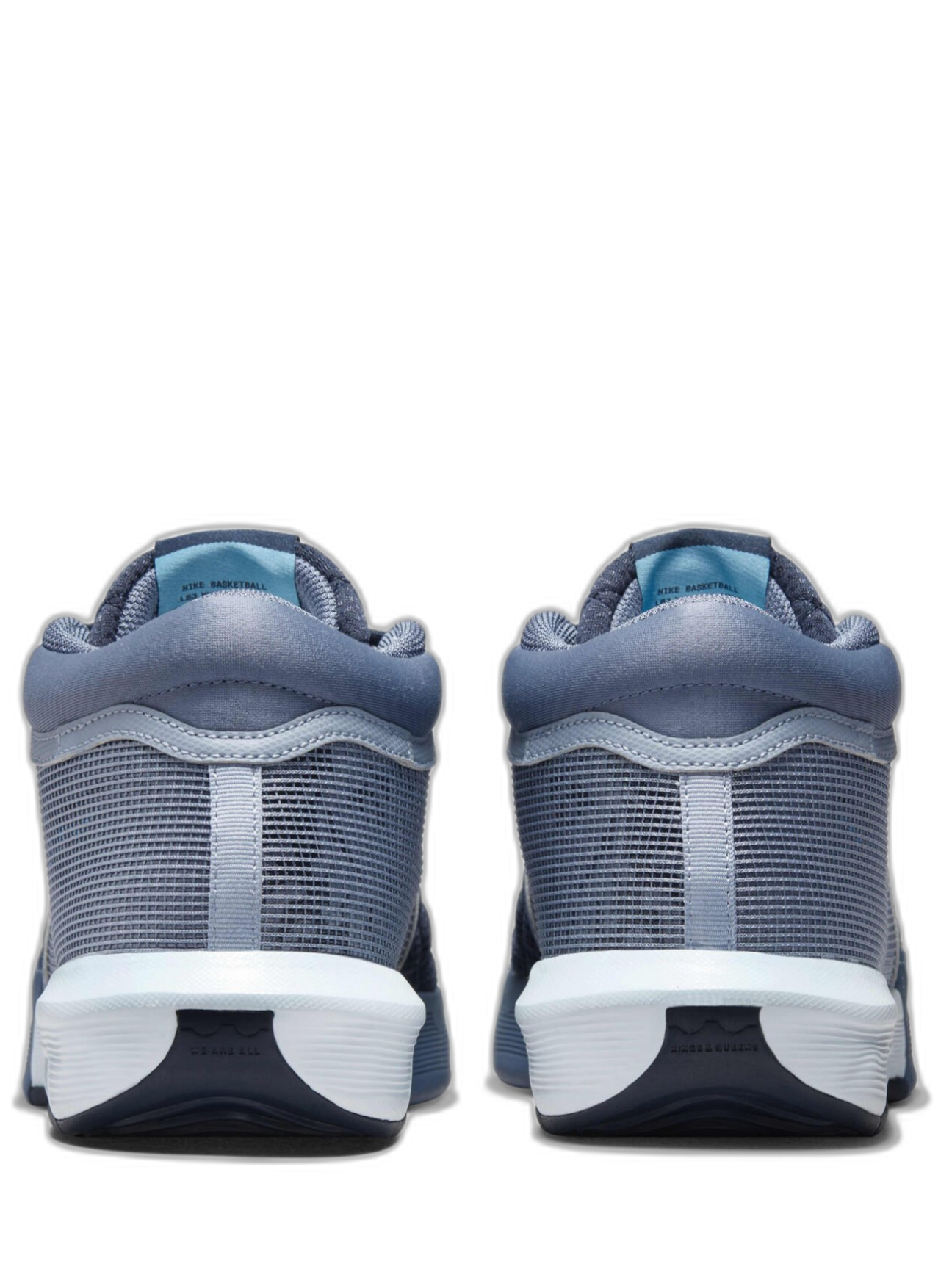 Nikee lebron witness 8 blue