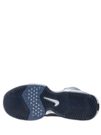 Nikee lebron witness 8 blue