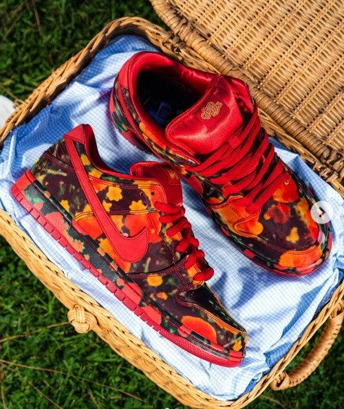 Nikee sb dunk low the wizard of oz poppy field