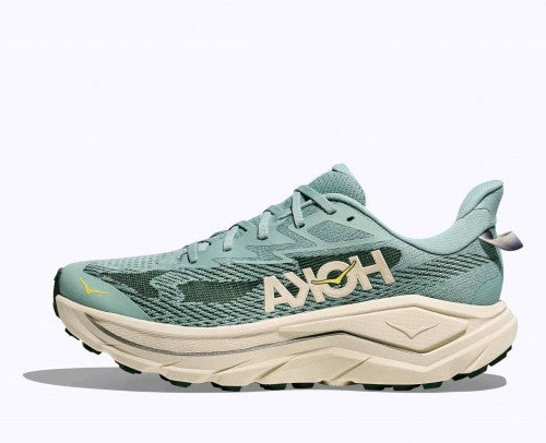 Hoka Challenger 8 Jade Truffle Salt 1133